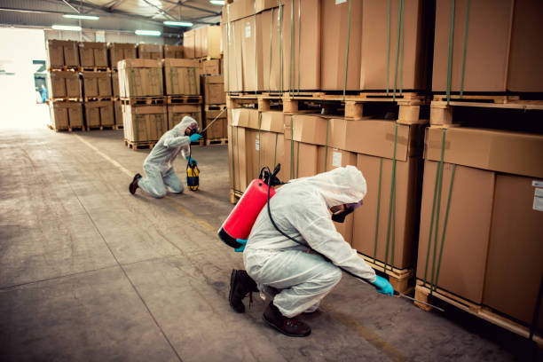 Best Pest Inspection Near Me  in Enfield, NC