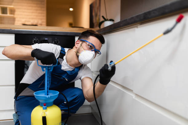 Best Pest Control Near Me  in Enfield, NC