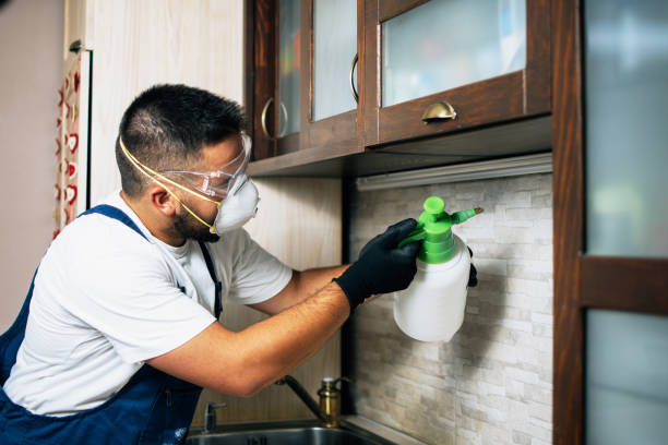 Best Wildlife Control Services  in Enfield, NC