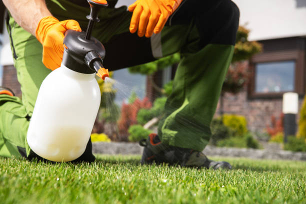 Best Insect Control  in Enfield, NC