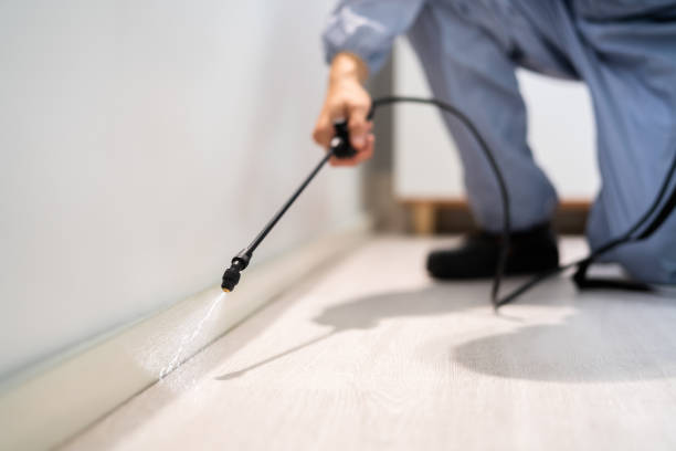 Pest Control Cost in Enfield, NC