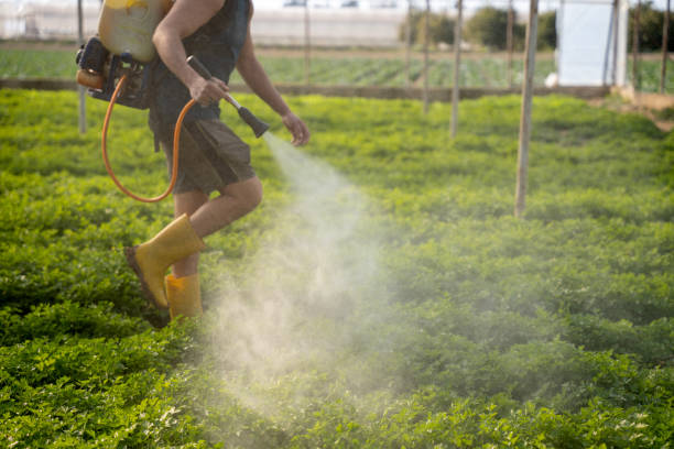 Best Best Pest Control Near Me  in Enfield, NC