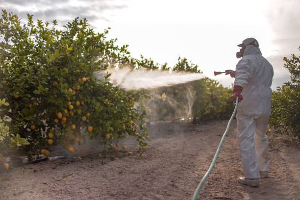 Best Exterminator Services  in Enfield, NC