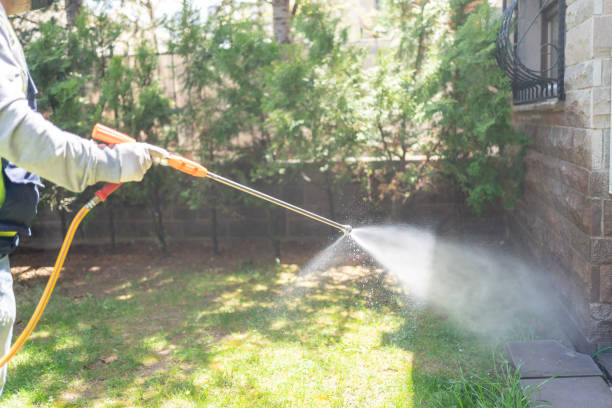Professional Pest Control in Enfield, NC