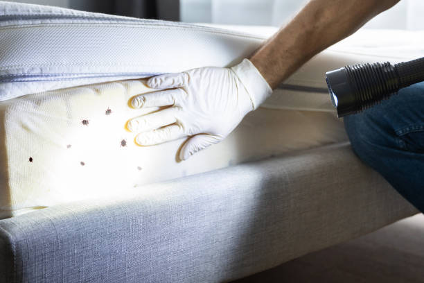 Pest Control for Restaurants in Enfield, NC