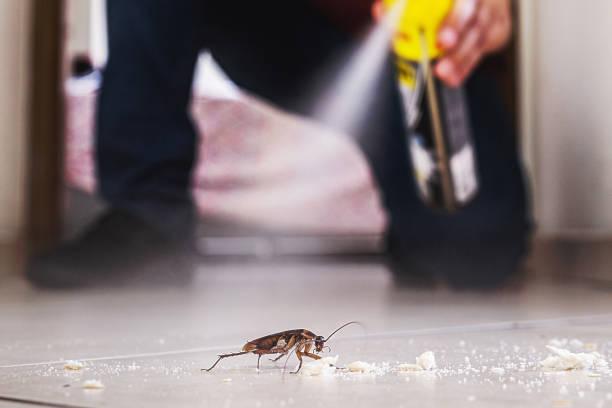 Best Mosquito Control Services  in Enfield, NC