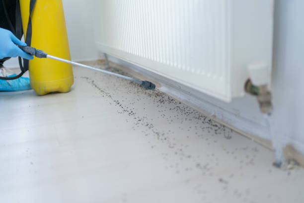 Best Emergency Pest Control  in Enfield, NC