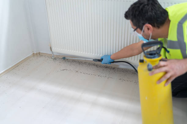 Best Wasp Removal Services  in Enfield, NC