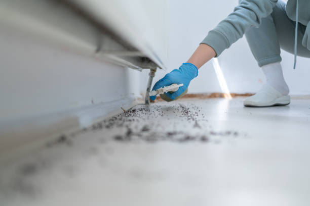 Wildlife Control Services in Enfield, NC